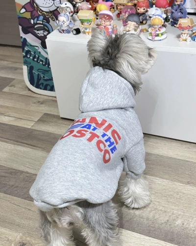 Демисезонный шнурок-держатель, флисовая удерживающая тепло толстовка, в корейском стиле