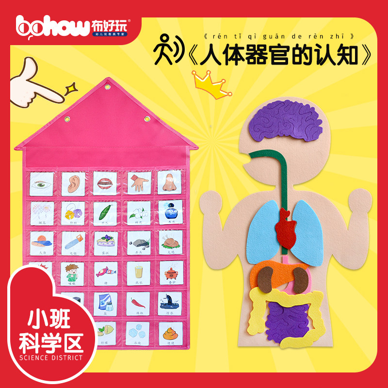 Cloth fun kindergarten small class science area corner wall game early education toy five senses perception of human organs