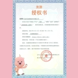 Оригинальная кукла, плюшевая подушка, енот, популярно в интернете, подарок на день рождения