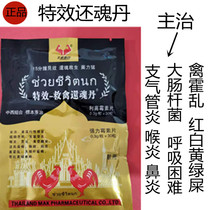斗鸡药 斗鸡感冒药 斗鸡流鼻涕药 斗鸡拉青黄红白绿屎 斗鸡水痢