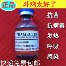 Fighting cock medicine fighting cock cold medicine fighting cock runny nose fighting cock diarrhea fighting cock diarrhea fighting cock sickness medicine