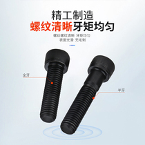 EG Pengchi 12 9 grade inner hexagonal screw cylindrical head cup head socket head socket head screw M8M10M12 * 10-150