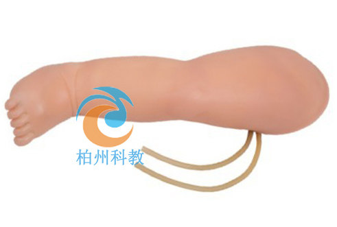 婴儿腿部静脉穿刺模型幼儿标本注射训练模具小儿脚背扎针