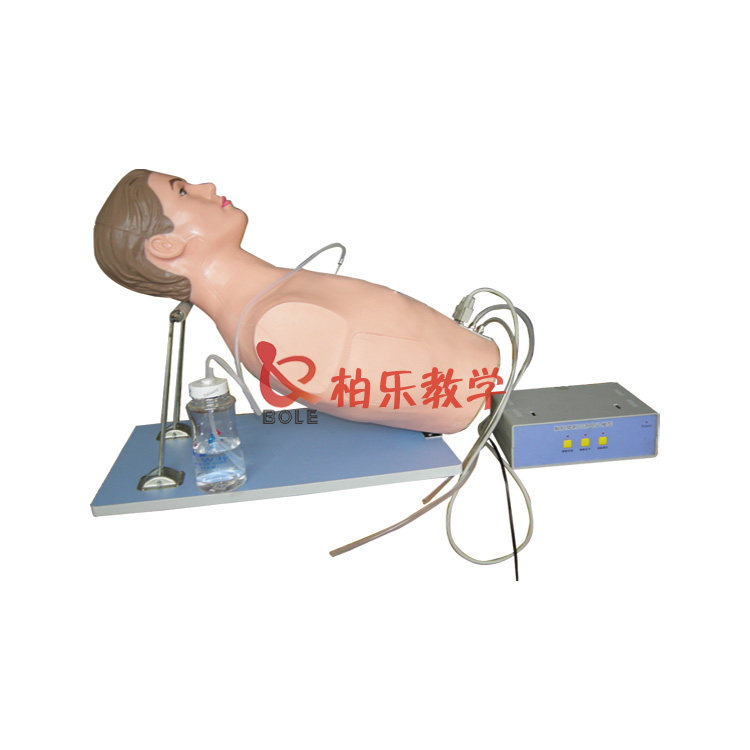 耐用闭式胸腔引流模型 胸腔穿刺引流模拟人 医学训练教学