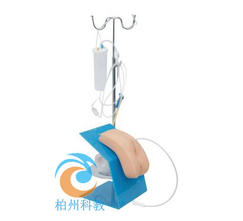 着装式女性导尿模型实习护理生殖器官模具医学用练习培训操作