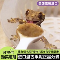 Eyelash-corner gecko fruit puree r genus gecko high calcium reproduction banana insect papaya packaged feed Pangu R brand fruit puree