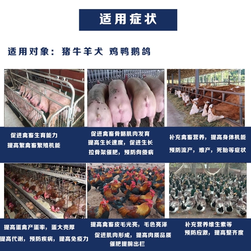 Желевы в печени трески с многомерным маслом рыбы, сконцентрированной свининой, овец, голубиного голубей курицы, порошка масла печени и витамин птицы -собаки витамин