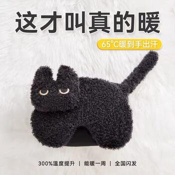 Waterless Hot Water Bottle Rechargeable Hand Warmer Explosion-Proof Warm Baby Hand Warmer Water Bag Portable Winter 2025 New Model