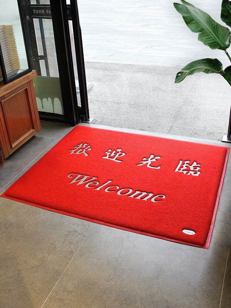 Floor mats enter the door entrance door household foot mats plastic wire ring non-slip carpets in and out safe welcome door mats