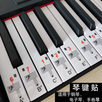 Piano Keyboard Sticker 88 Key Electronic Piano Handroll Piano Key Sticker Score Key Phonetic Key Sticker 61