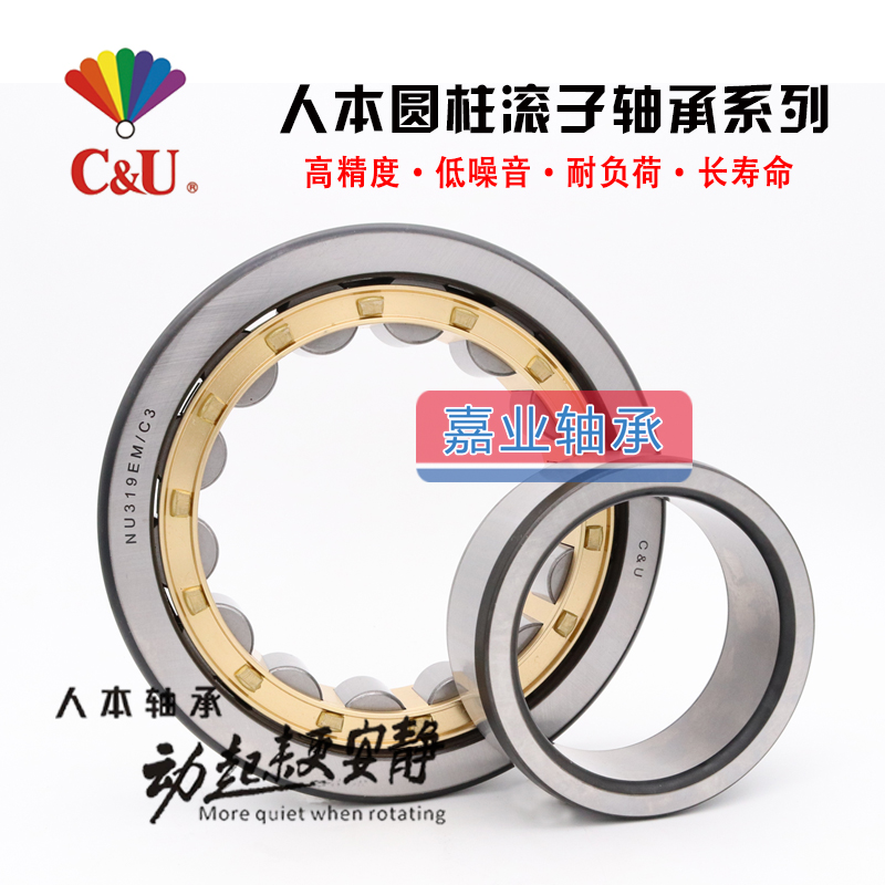Human cylindrical roller bearings N NU NJ NUP 1004 1005 1006 1007 1008 EM C3