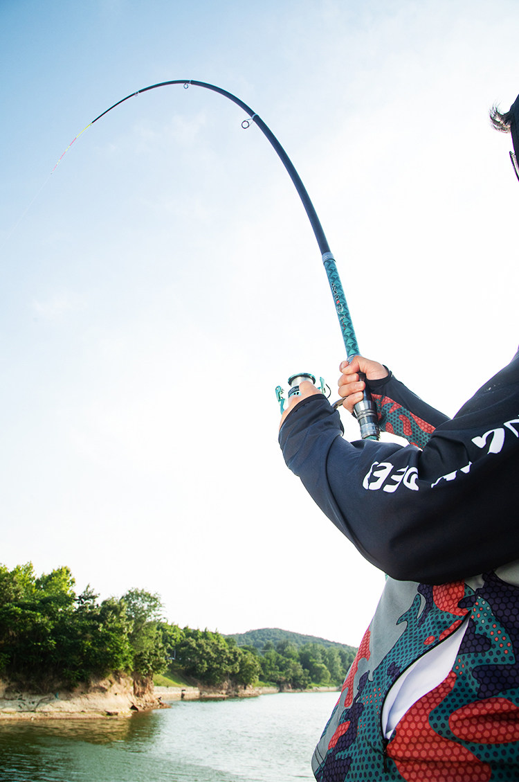 Море удочкой None Quebec sharks