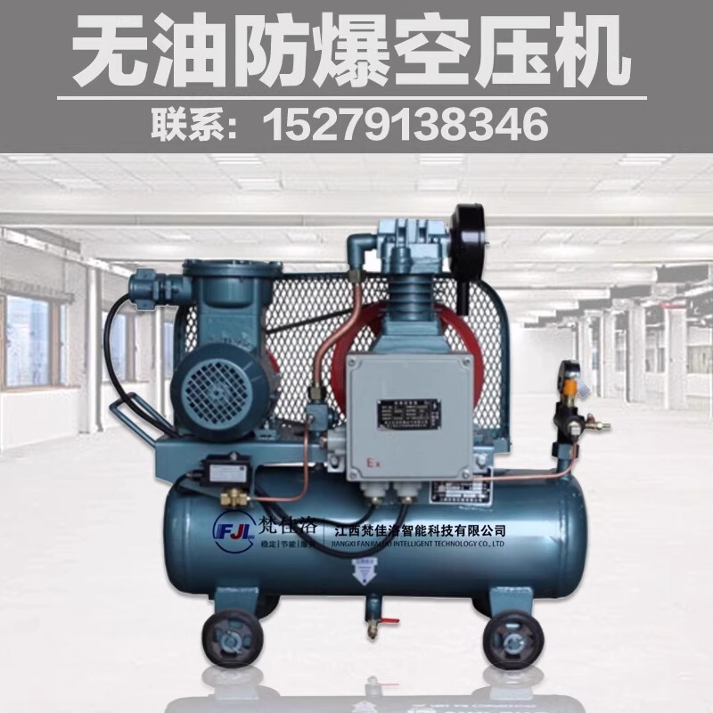 Large High-Pressure Oil-Free Silent Piston Explosion-Proof Air Compressor 380V Air Pump Air Compressor 8/10/30kg