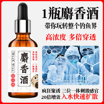 Musk fishing small medicine carp bait bait additive black pit wild fishing winter