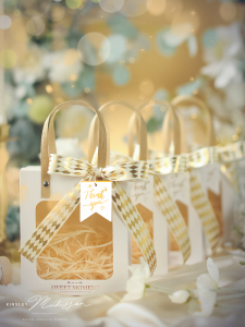 Mini Fancy Small Size Transparent Hand Gift Bag