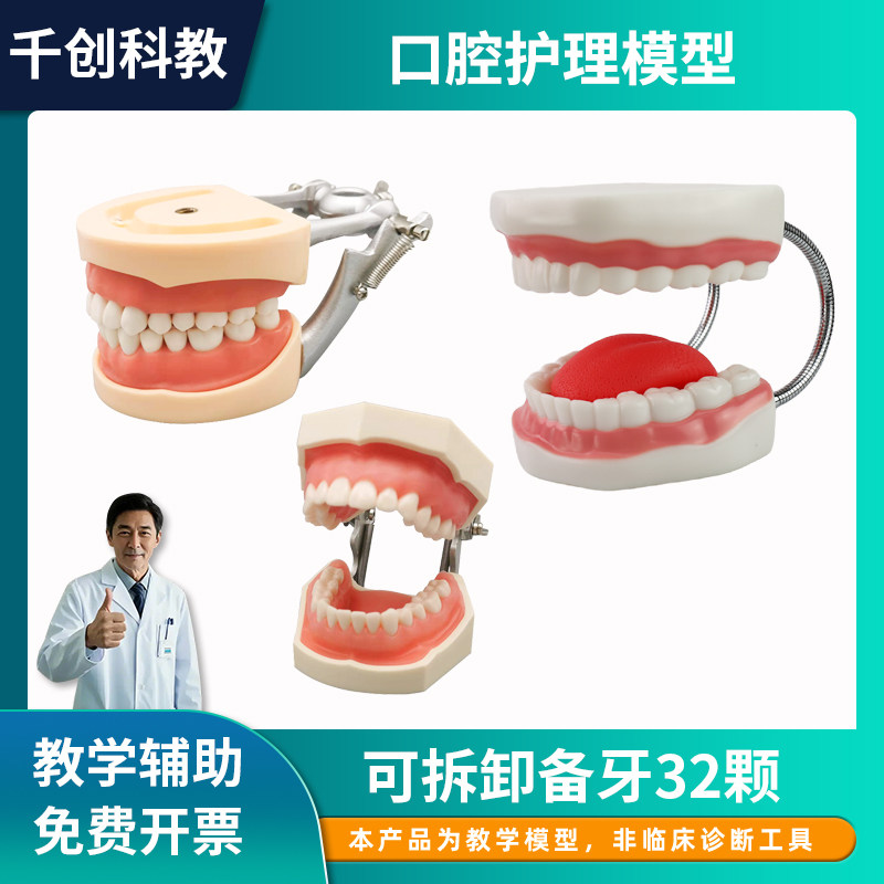 备牙标准模型全口可拆卸树脂口腔牙科医生教学模具仿真模拟练习
