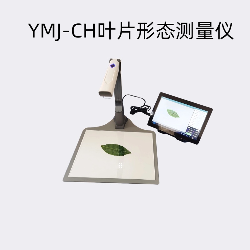 YMJ-CH智能叶面积测量系统/叶片形态测量仪测量范围1-600平方厘米