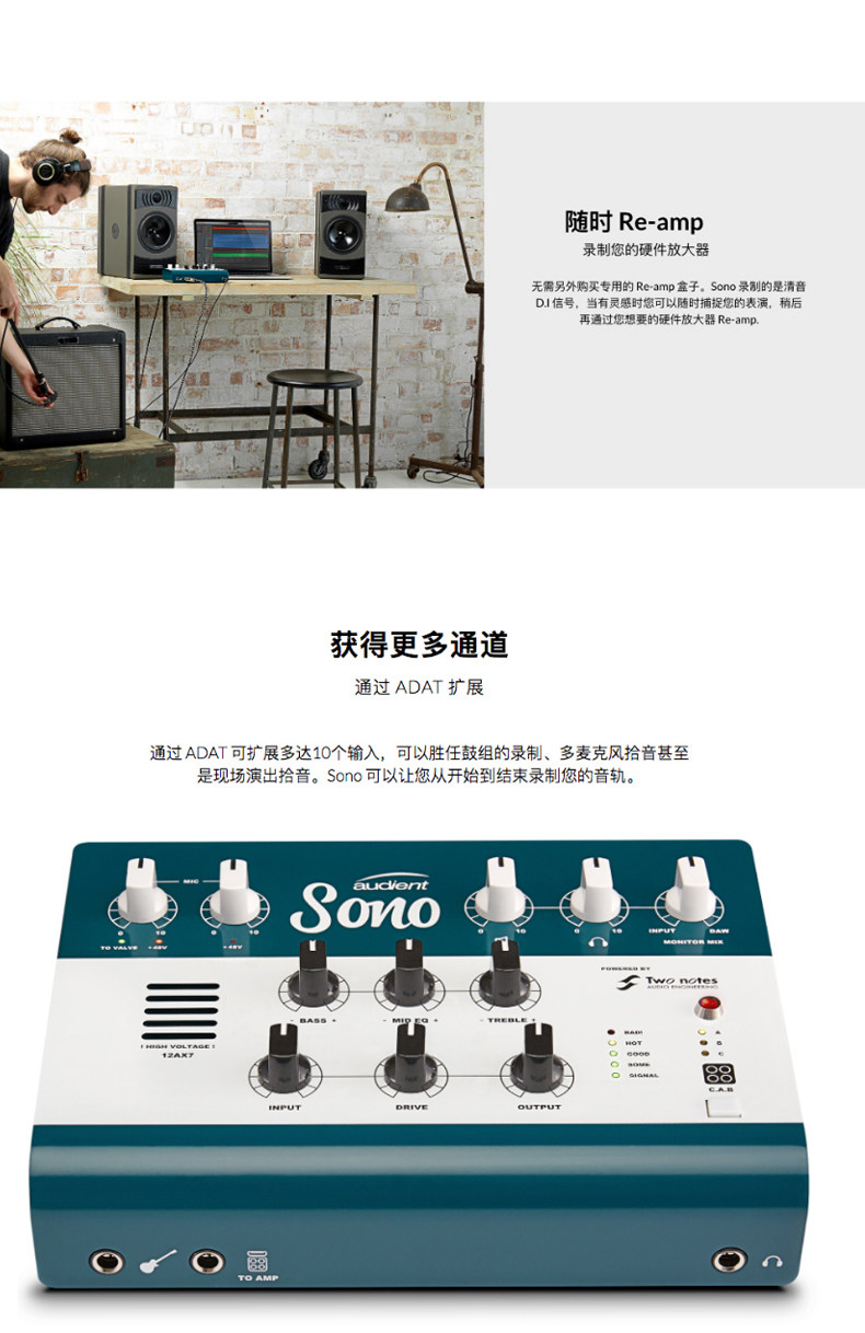 Audient/奥顿特 SONO插图8