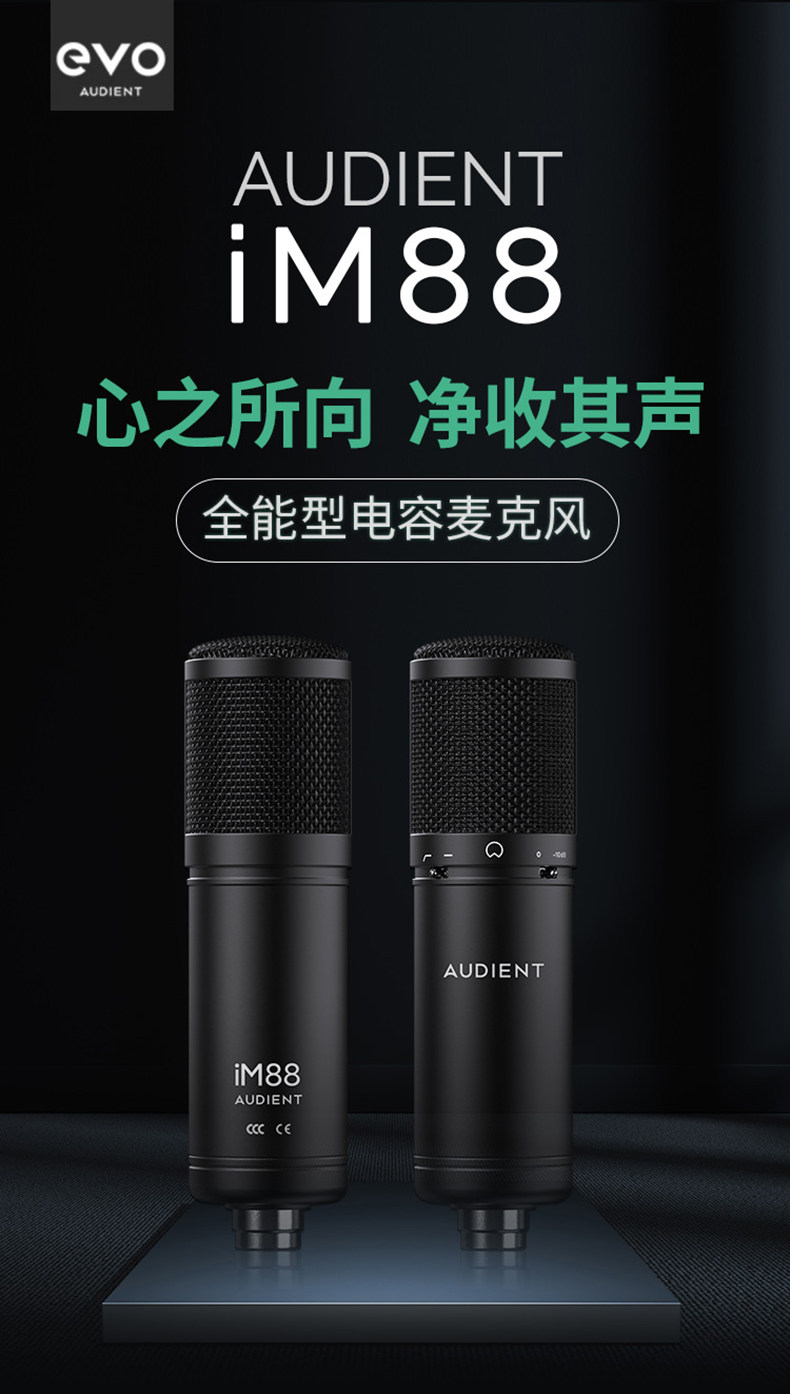 Audient/奥顿特iM88插图