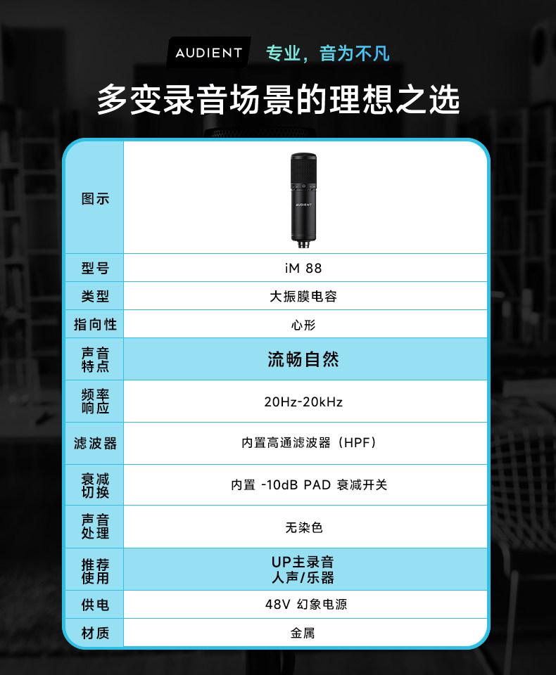 Audient/奥顿特iM88插图5