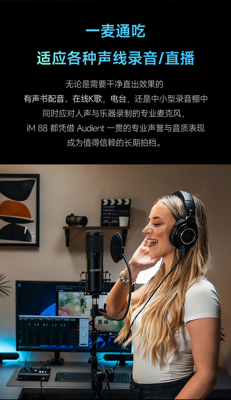 Audient/奥顿特iM88插图6