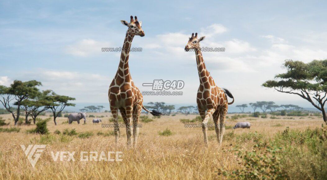 blender长颈鹿骨骼绑定3D模型