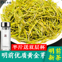 Golden Bud Tea 2021 New Tea Premium Anji Mingqian White Tea Alpine Green Tea tea 250g bulk canned