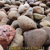 Natural river pebbles pebbles fish tank landscaping stones large balcony paving outdoor rain flower stone blocks