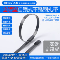 304 316 full spray self-locking stainless steel cable tie black color marine cable metal harness custom