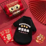 Милая демисезонная удерживающая тепло утепленная толстовка, шнурок-держатель