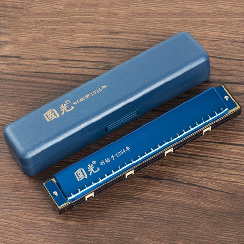 Губная гармошка для школьников для начинающих, практика для взрослых, орган