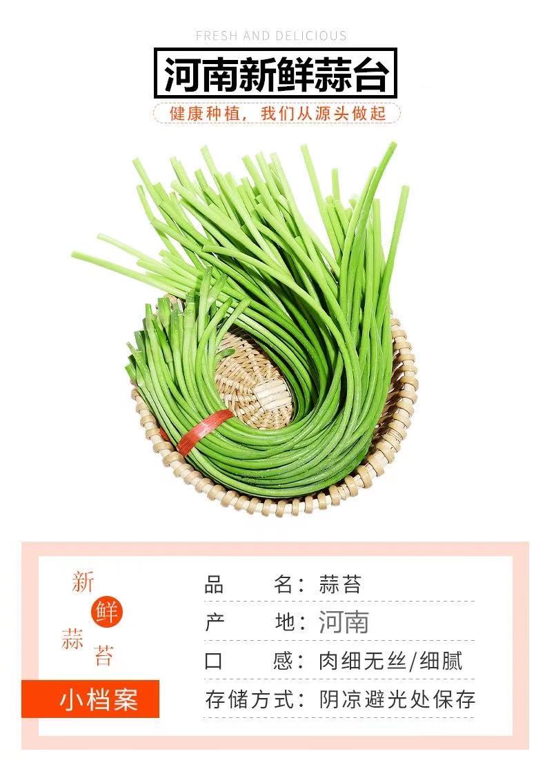 金壑！河南新鲜蒜薹5斤