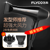 Flying Coelectric Hair Dryer Hairdryer Hair Salon Hair Salon Special Strong Wind 3000W High Power Speed Dry Home Negative Ions