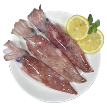 Zhoushan fresh squid fresh frozen pen tube large squid frozen seafood commercial wholesale iron plate fresh barbecue squid