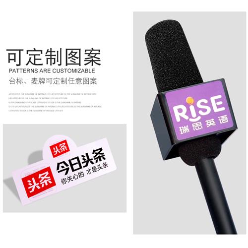Live Room Profile Funny Simulation ProfileMicrophone Model Fake Microphone News Interview Media Small Journalist Program