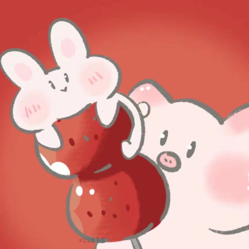 Rabbit小兔几越南购