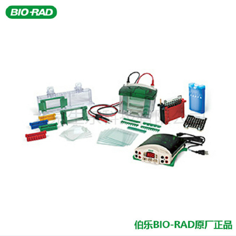 Bio-Rad  美国 伯乐 蛋白电泳系统垂直电泳套装1658033