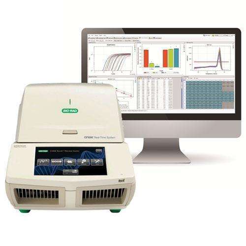 Bio-rad伯乐 C-1000 触摸屏（双模块）梯度基因扩增仪 PCR仪