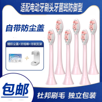 Applicable Roman electric toothbrush head T3 T5 T10 T10 of Universal Thousand Q5 Q5 X1 Q7 Q7 the same family Malone