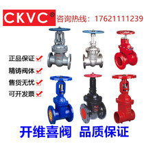 Opening Viecki valve Z41 5X H16 H16 and hard sealing cast steel stainless steel trench gate valve DN50 65 80100