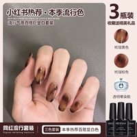 Демисезонный лак для ногтей, янтарный карамельный комплект для маникюра, 2025 года, новая коллекция, популярно в интернете