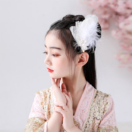 Feather pearl tassel hairpin girl headdress pair clip photo photography super fairy costume performance catwalk dance hair accessories