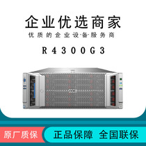 H3C China 3 R4300G3 server host 2U rack file storage server brand new original