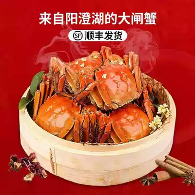 Hairy crab fresh Shunfeng spot full mother big male and female crab gift box 2-2 5 two Yangcheng Lake Town hair