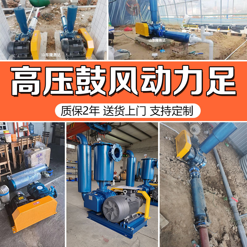 Three-Blade Roots Blower Aerator for Sewage Pool Aeration, Variable Frequency Roots Blower for Aquaculture Oxygenation, High-Pressure Blower