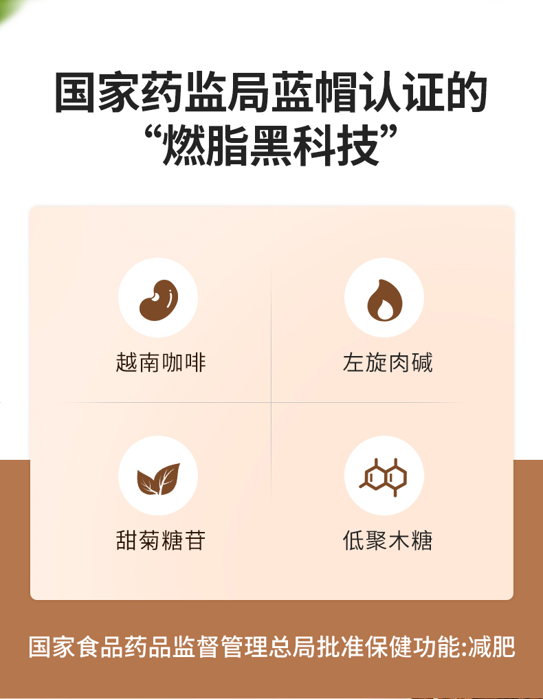 姿美堂左旋肉碱减肥咖啡*10袋