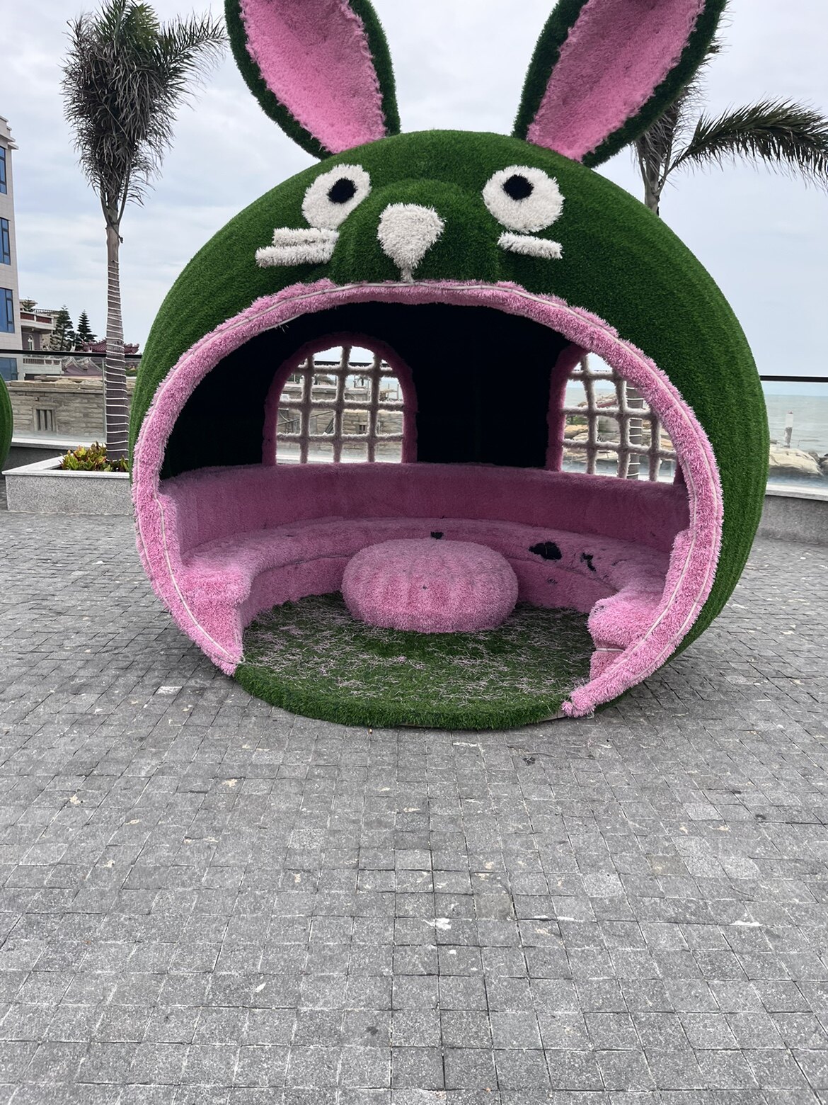 喜又喜呀