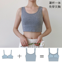 Modale short section half cut with chest cushion vest female summer beating undershirt bra-free artificial word harness