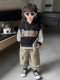 Boys' Autumn Outfit Set 2025 New Children's Shirt Vest Three-Piece Set Cool and Stylish Boys' Spring and Autumn Casual Cargo Pants