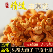 New Cargo Wild Caterpillar Fungus Flowers Dry Goods Natural Fresh Golden Pupa North Caterpillar Fungus grade Spore Head 500G